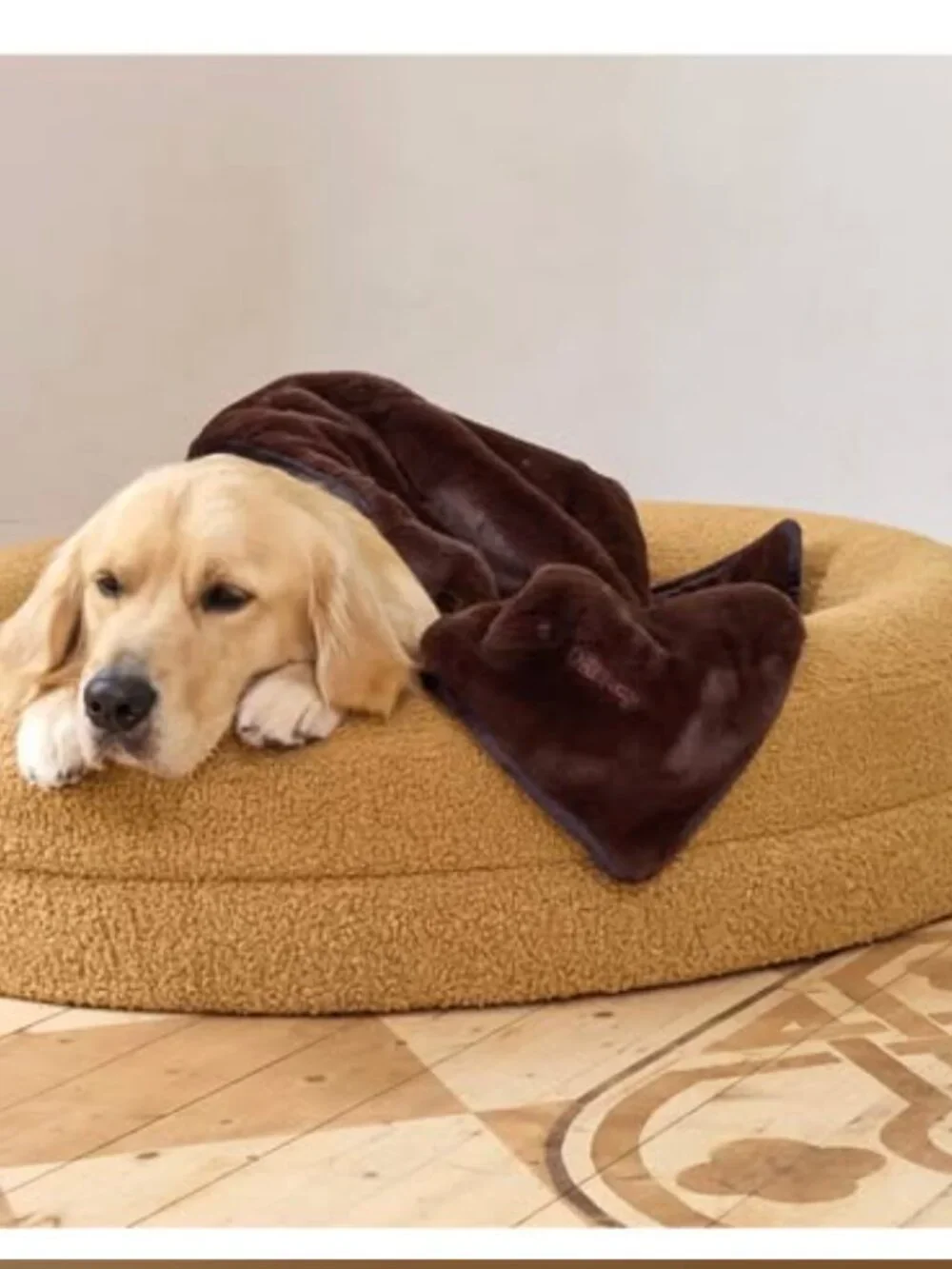 Barney dog blanket